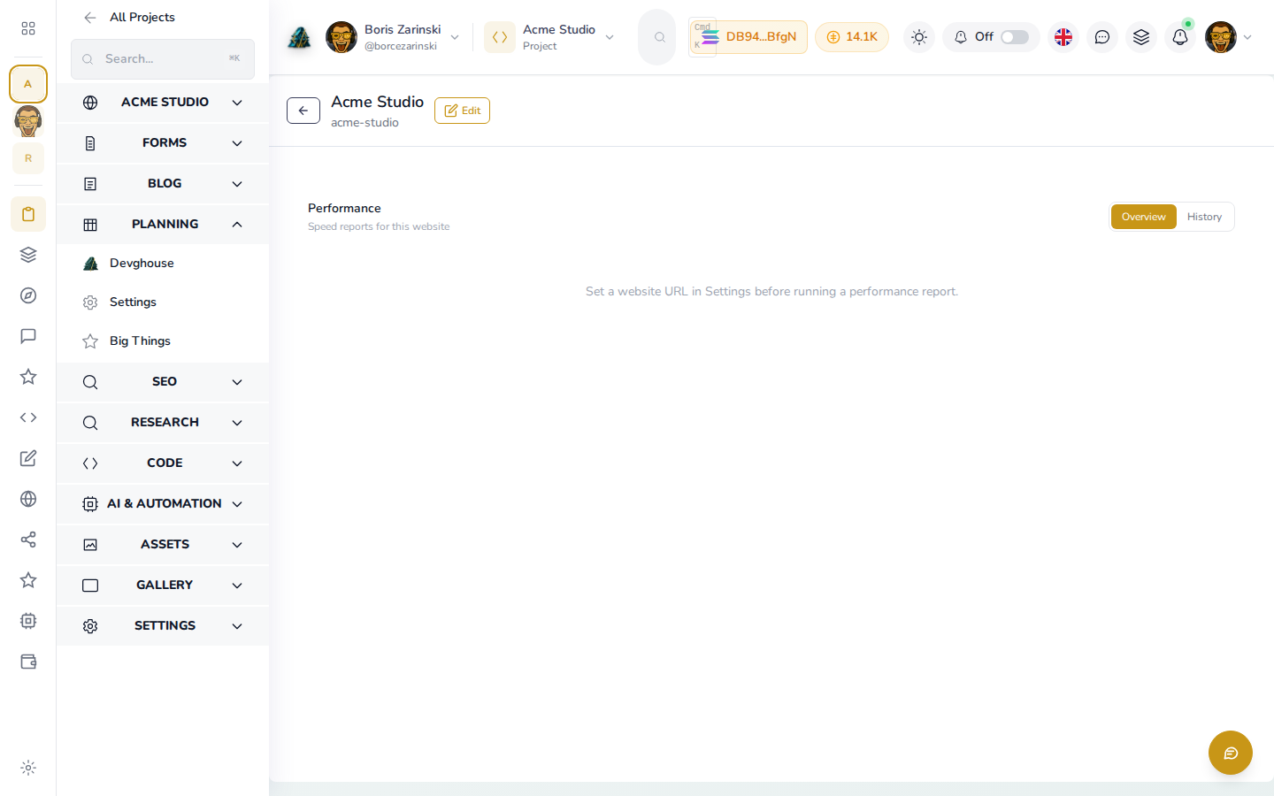 The Performance section, ready to run once a URL is set